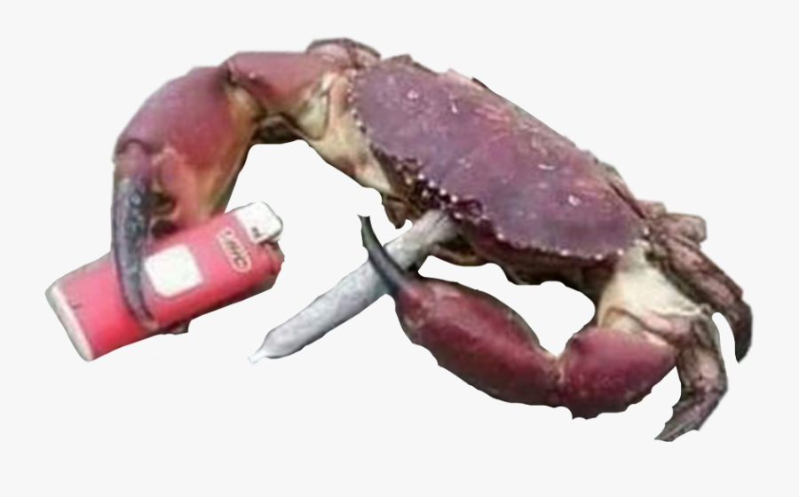 Popular And Trending Stickers - Crab Smoke, Transparent Clipart