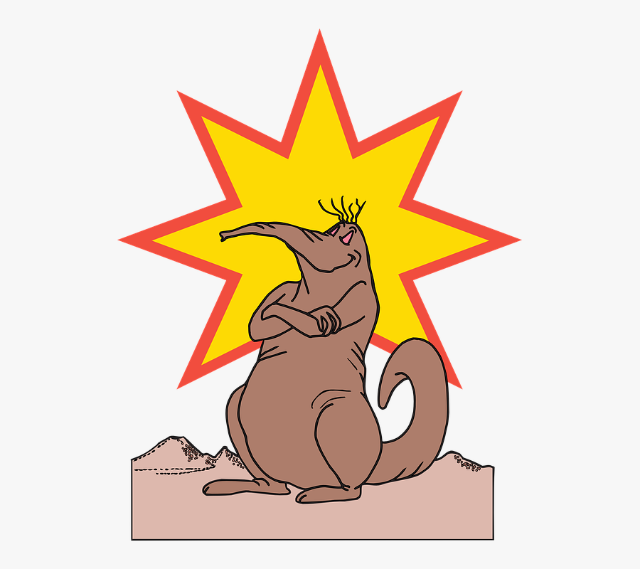 Star, Happy, Anteater, Animal, Proud - Transparent Bang, Transparent Clipart