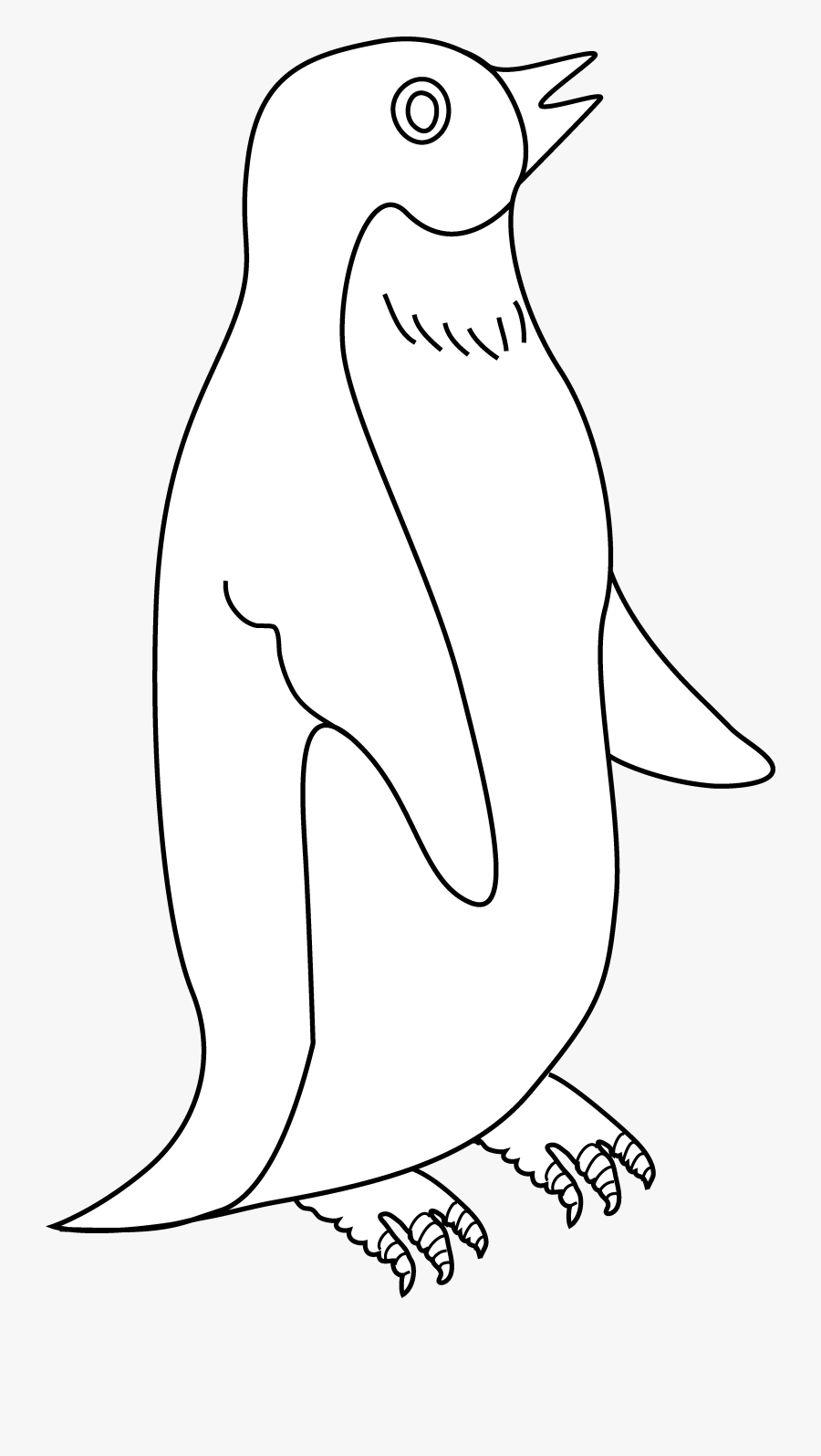 Black And White Penguin Clip Art Free Cartoon , Free