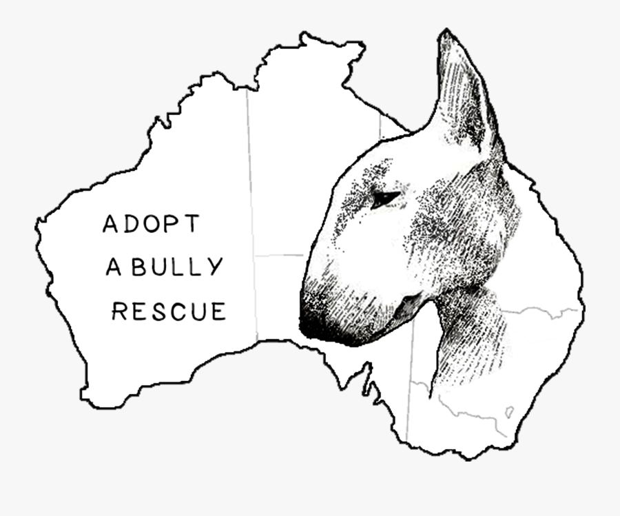Transparent Bull Terrier Png - Amphibian Chytrid Fungus Disease Australia, Transparent Clipart
