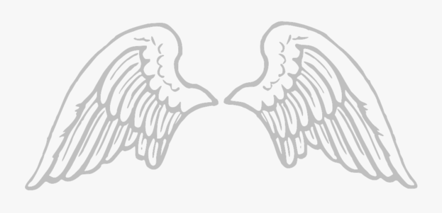 Wings, Angel, Large, Feathers, Spread, Holy, Caring - Transparent Background Wings Clipart, Transparent Clipart