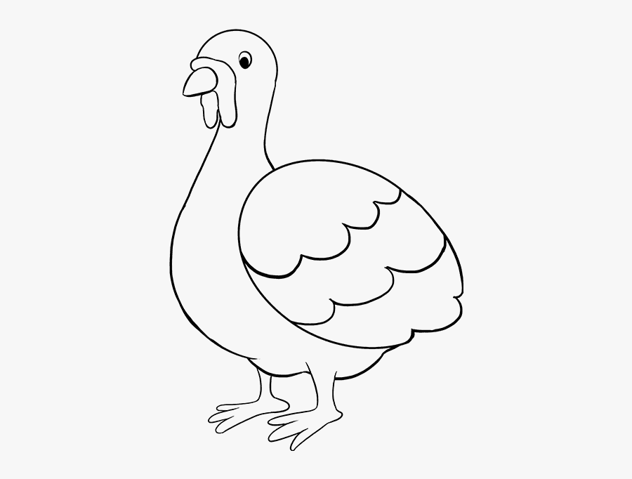 How To Draw A Turkey - Turkey, Transparent Clipart