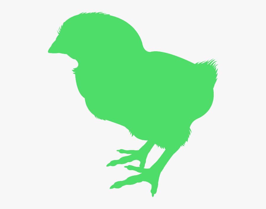 Chick Sillouettr, Transparent Clipart
