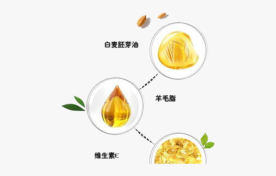 Australia Vitamin Cream Png File Hd Clipart - Side Dish, Transparent Clipart