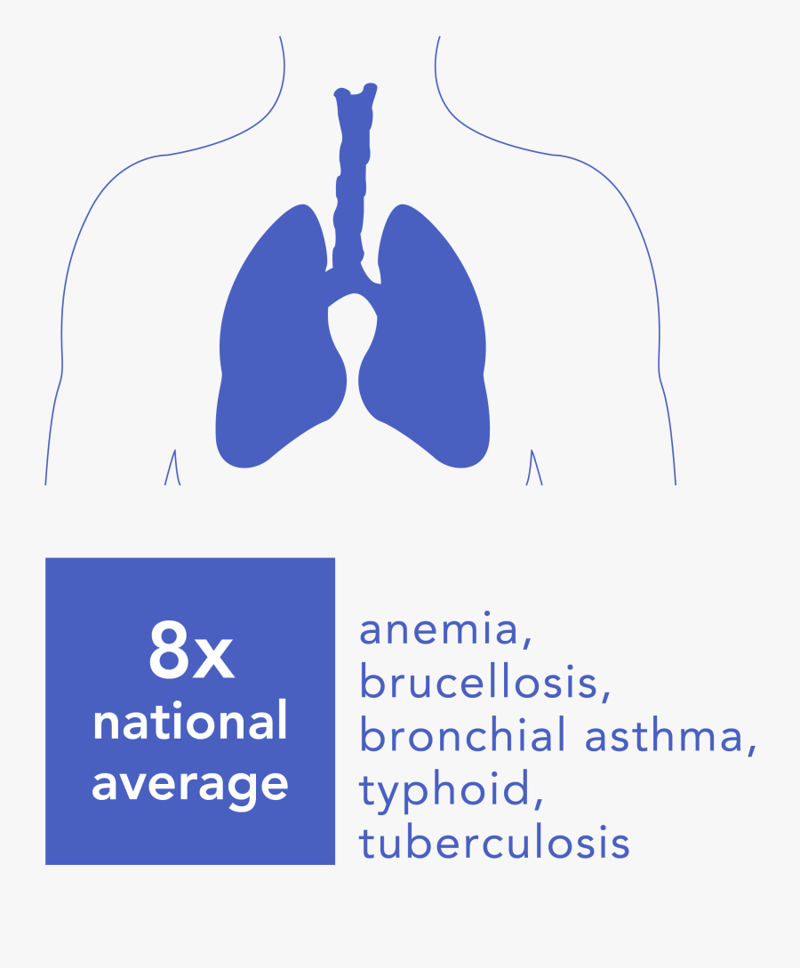 Img - Brock University, Transparent Clipart
