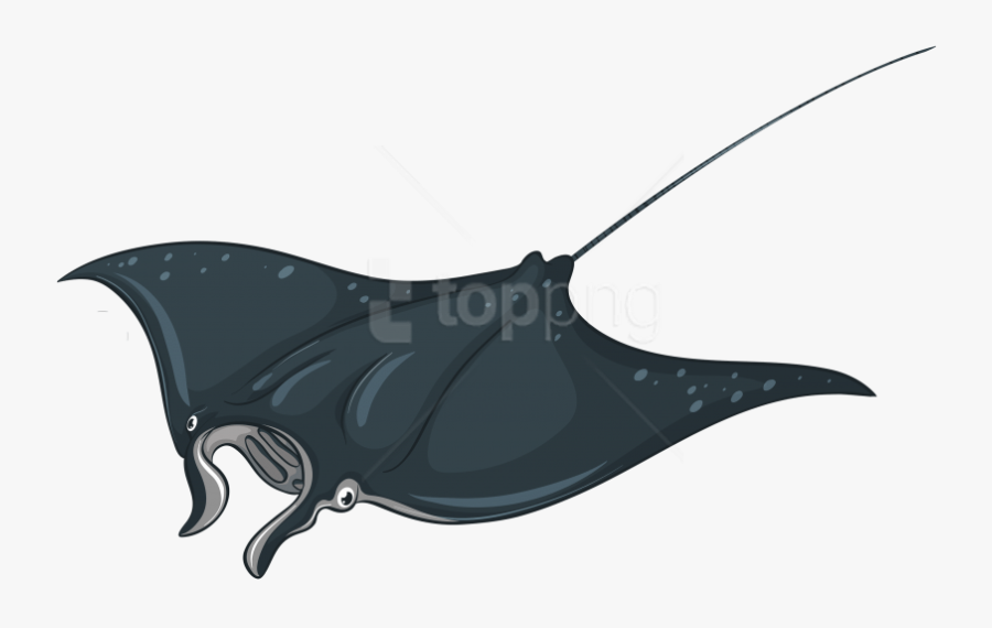 Download Skate Fish Clipart Png Photo - Manta Ray Illustration, Transparent Clipart