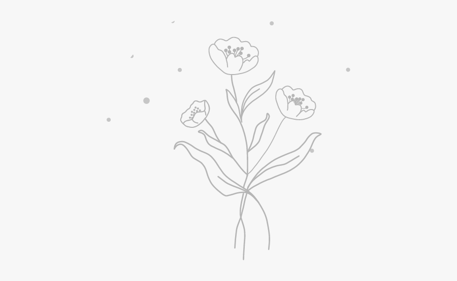 Sketch, Transparent Clipart