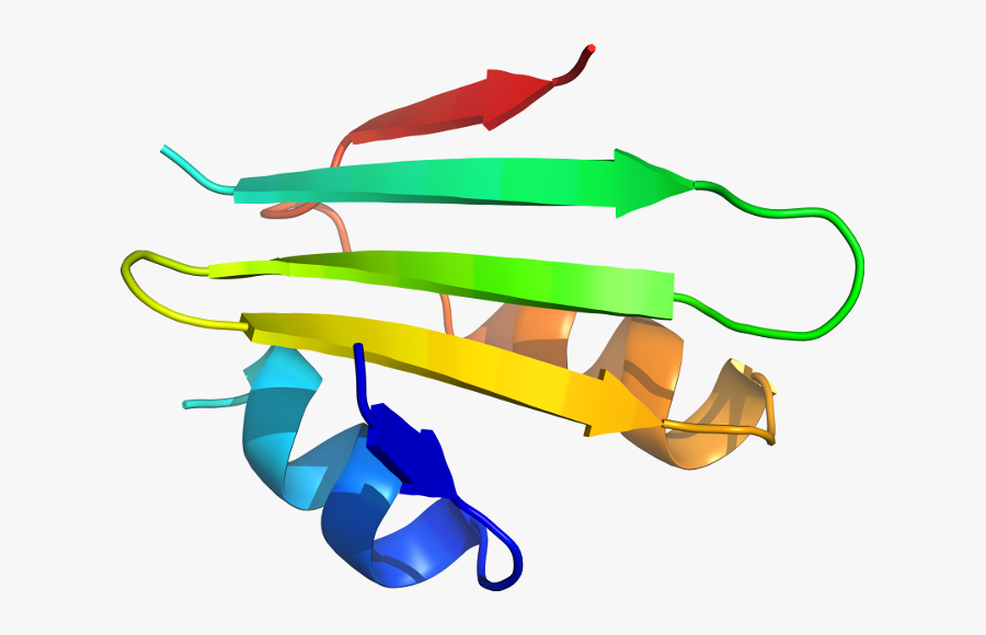 Clothing Clip Plastic, Transparent Clipart