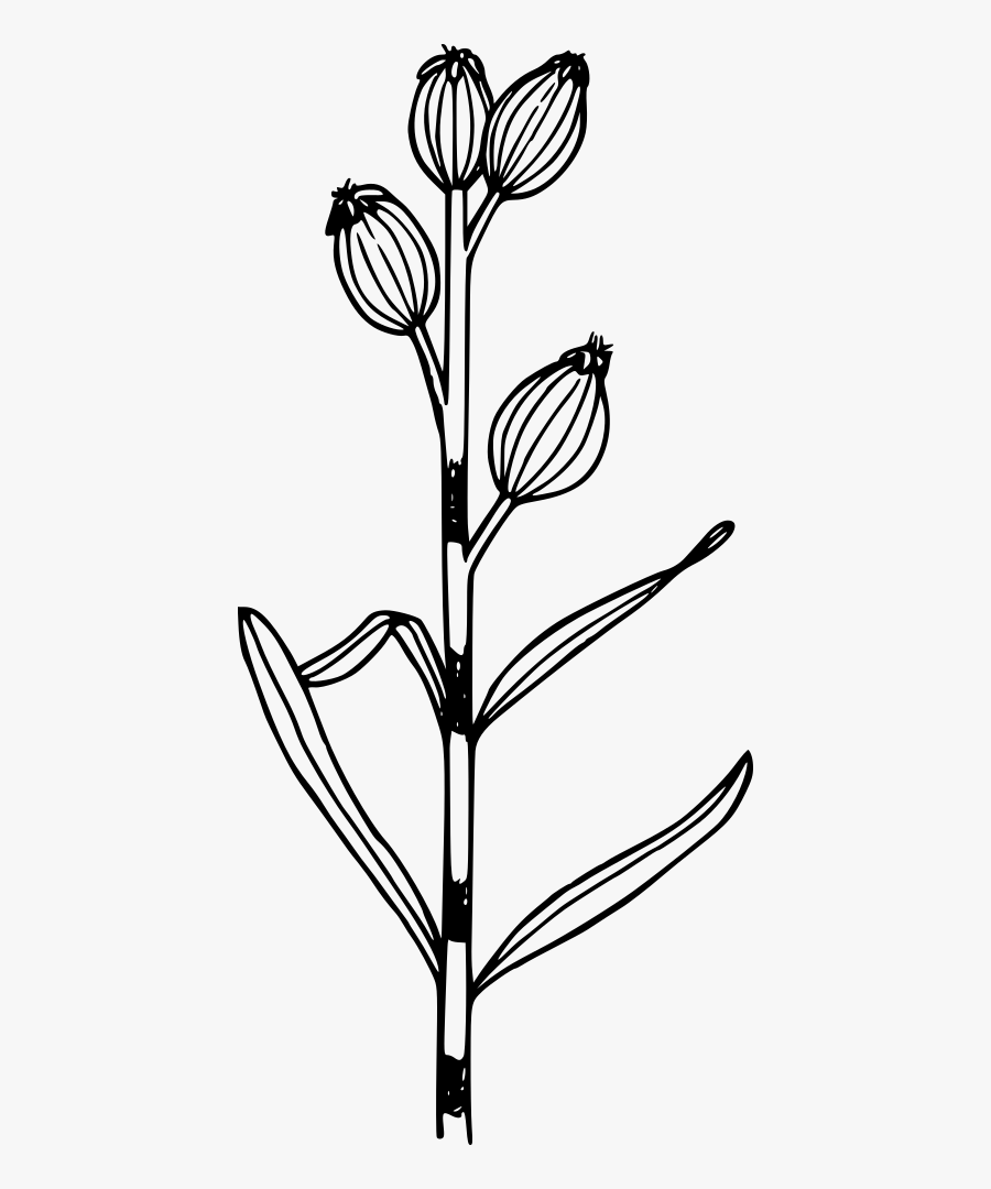 Sleepy Cat - Drawing, Transparent Clipart