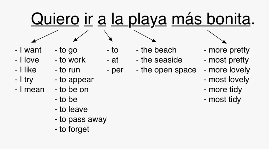 Mean In Spanish Translation