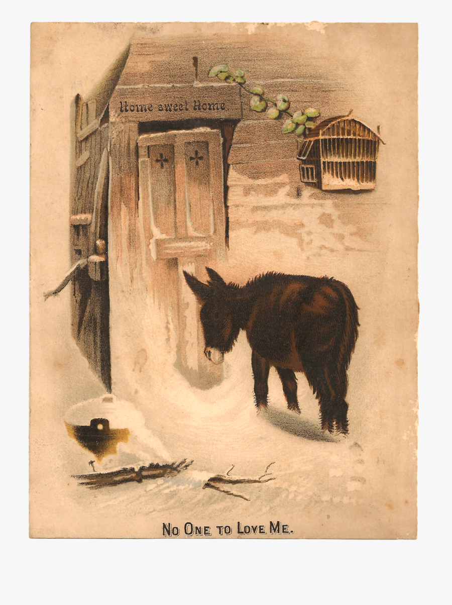 No One To Love Me Donkey, Transparent Clipart