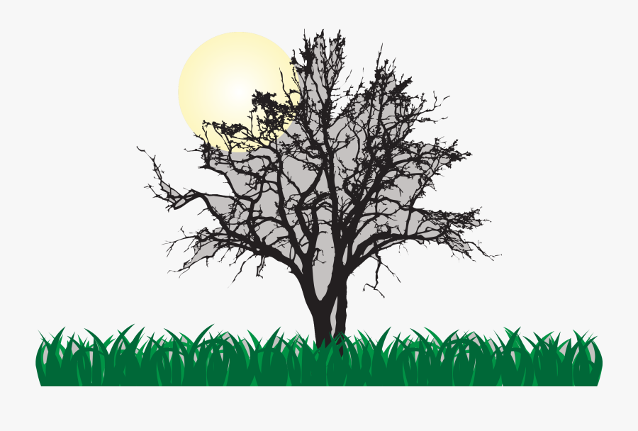 Tree Euclidean Vector Illustration - Animals At Night, Transparent Clipart