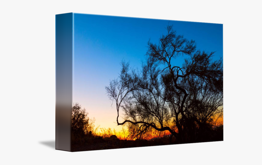 Clip Art Balo Verde - Silhouette, Transparent Clipart