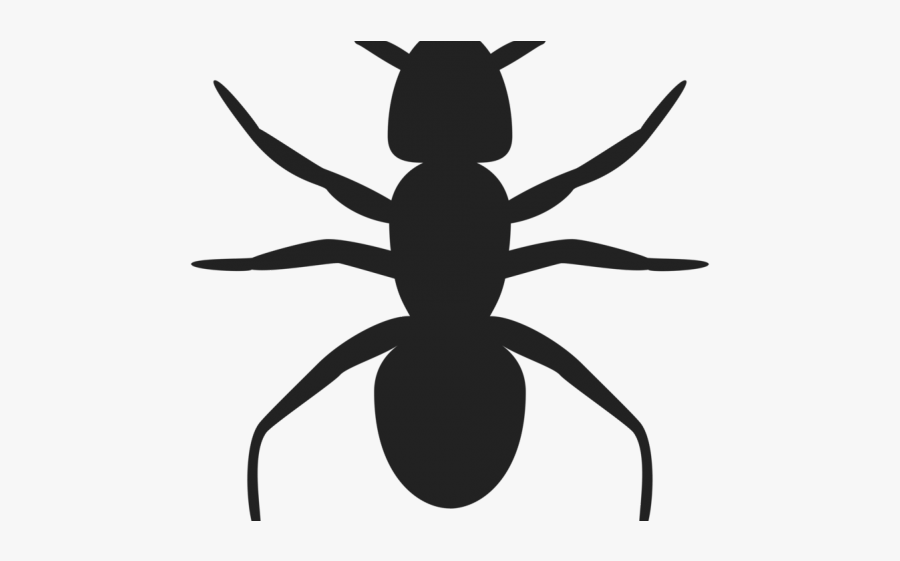 Ant Clip Art, Transparent Clipart