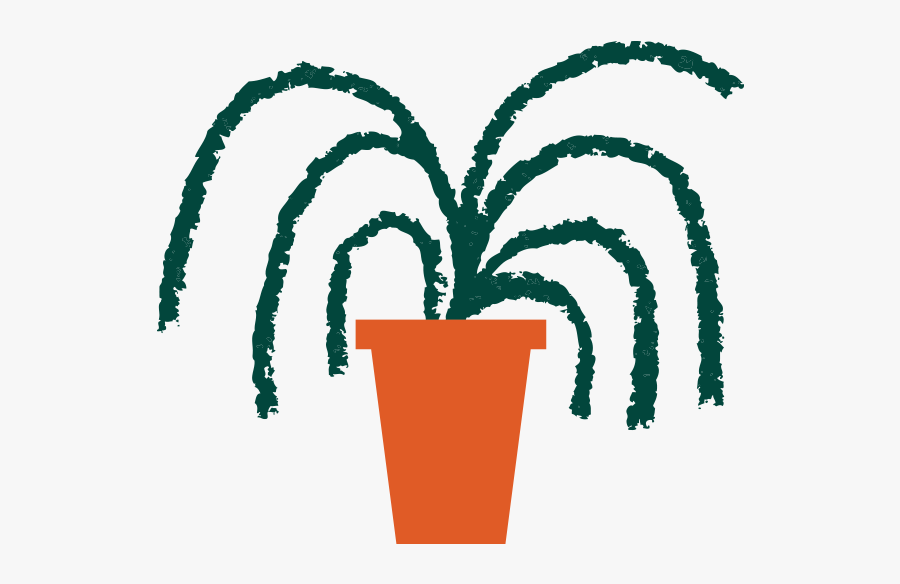 Plant - Illustration, Transparent Clipart