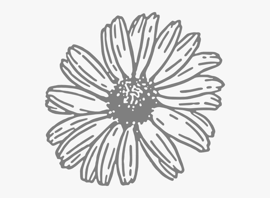 White Outline Flower Clipart, Transparent Clipart