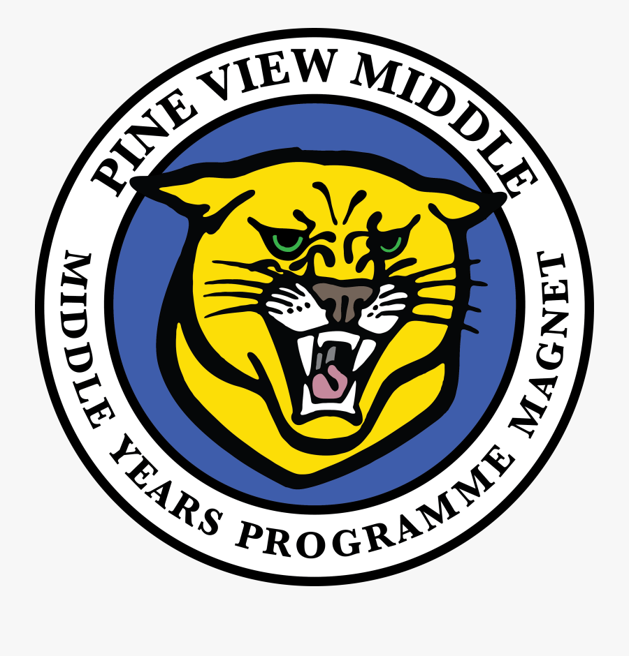 pine view middle school principal