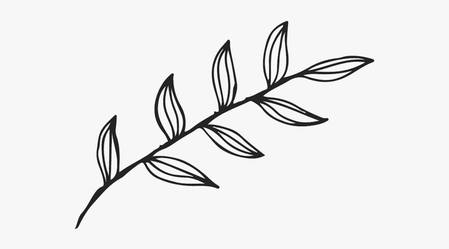 Pot Leaf Outline Png - Flower Leaf Outline Png, Transparent Clipart