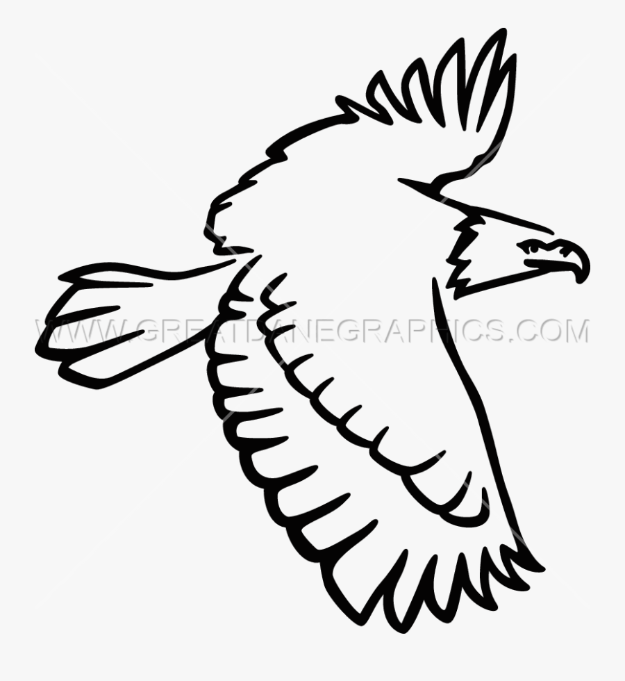 Bald Eagle, Transparent Clipart