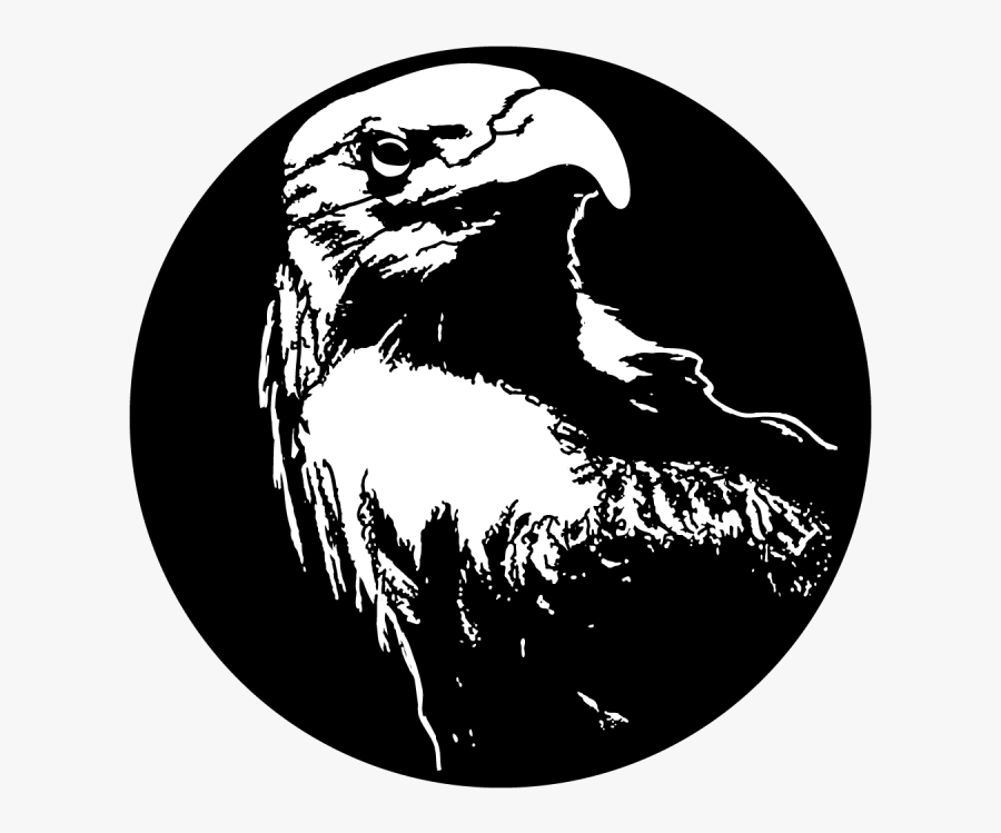 Transparent Golden Eagle Png - Eagle, Transparent Clipart