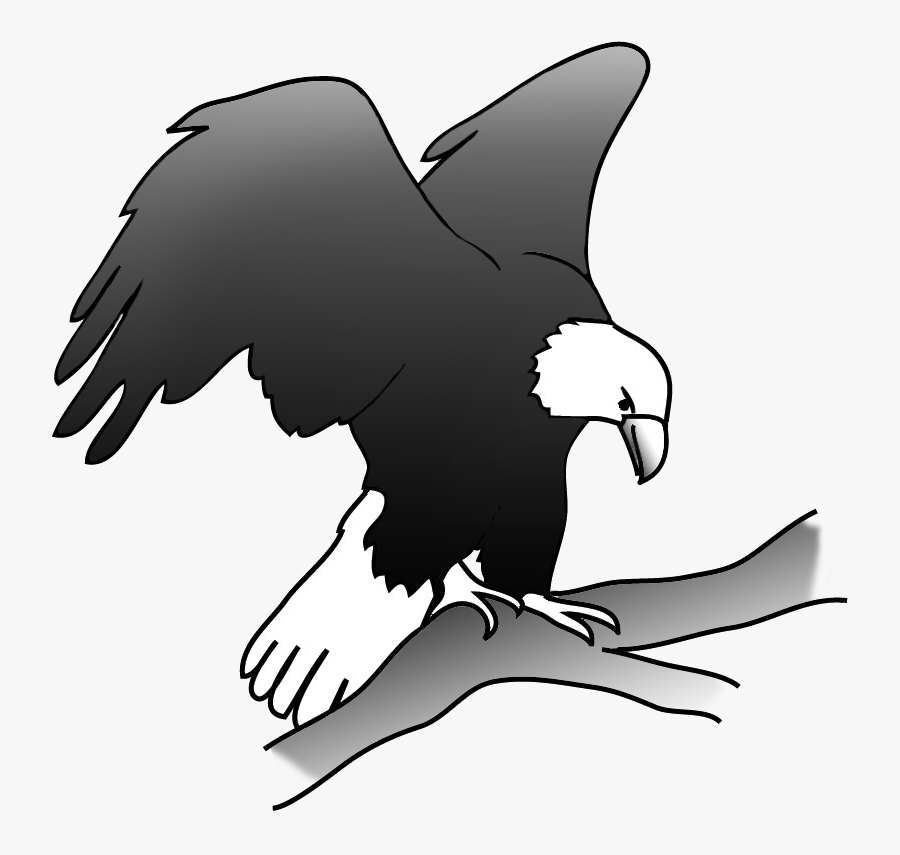 Eagle On A Branch In A Tree - Eagle On A Tree Drawing, Transparent Clipart