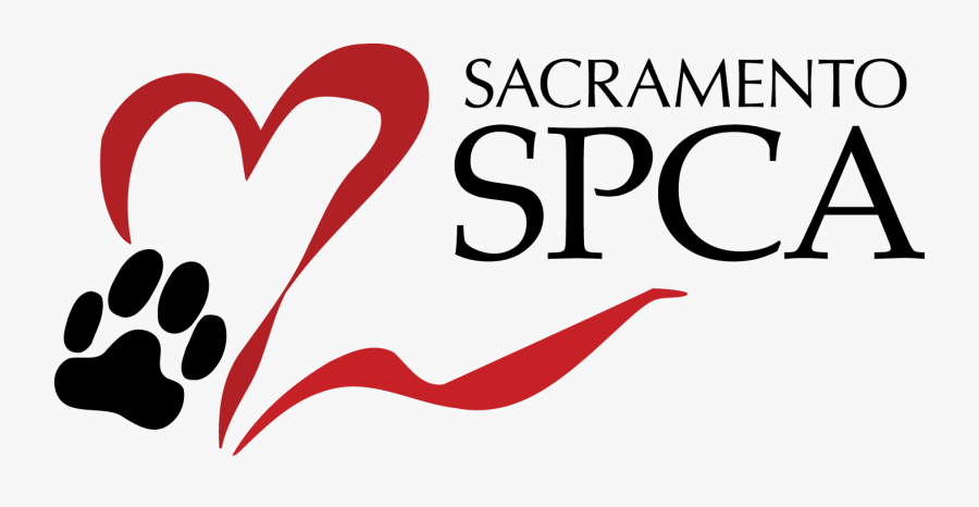 Paw Clipart Spca - Sspca, Transparent Clipart