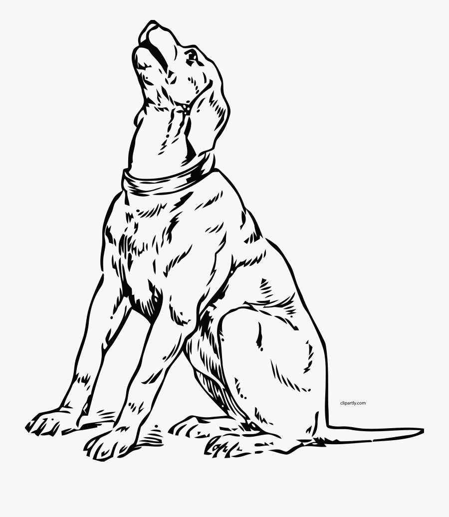 Barking Dog Coloring Pages, Transparent Clipart