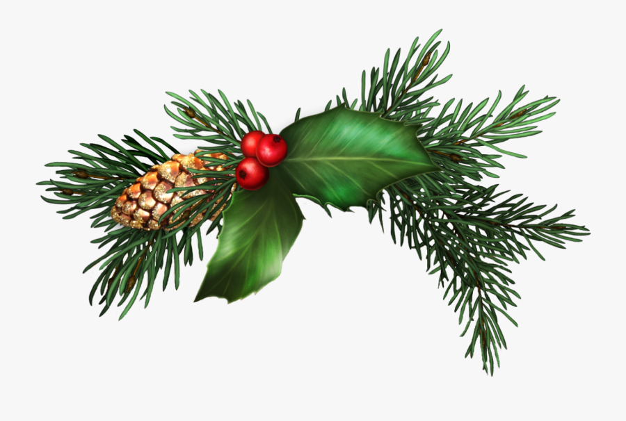Christmas Tree, Transparent Clipart