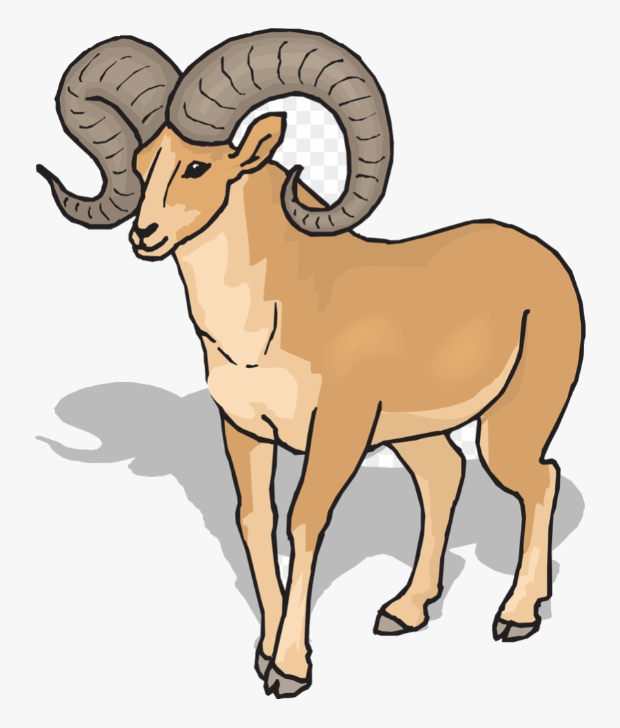Goat Clipart Front Bighorn Sheep Transparent Png - Ram Clipart, Transparent Clipart