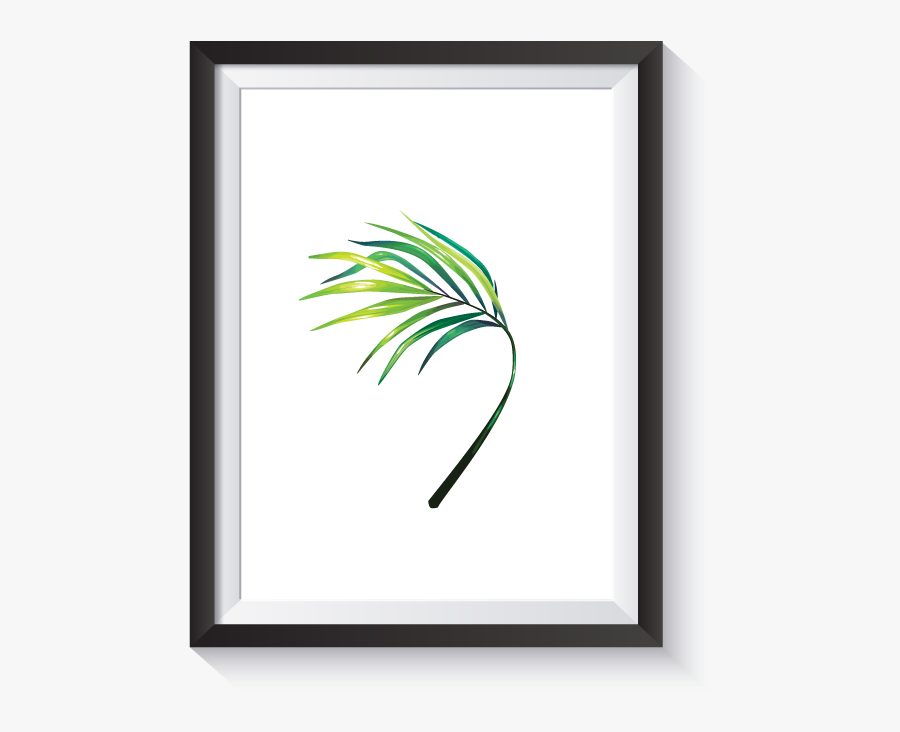 Scandi Illustrated Banana Palm Frond No, Transparent Clipart