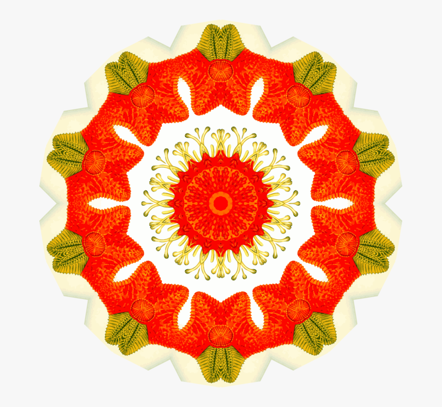 Petal,flower,fruit - Primjer Crm Sustava, Transparent Clipart