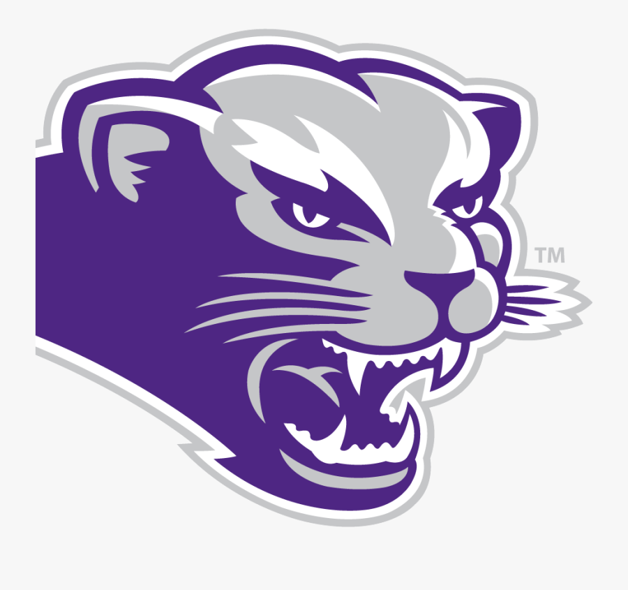 Bearcat Mascot Cliparts - Southwest Baptist University Football Logo, Transparent Clipart