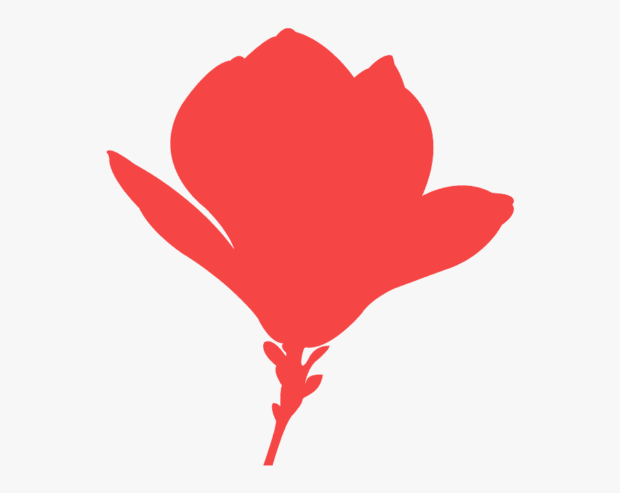 Silueta De Magnolia, Transparent Clipart