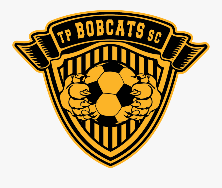 Chat Whatsapp Com Forex Uae, Transparent Clipart