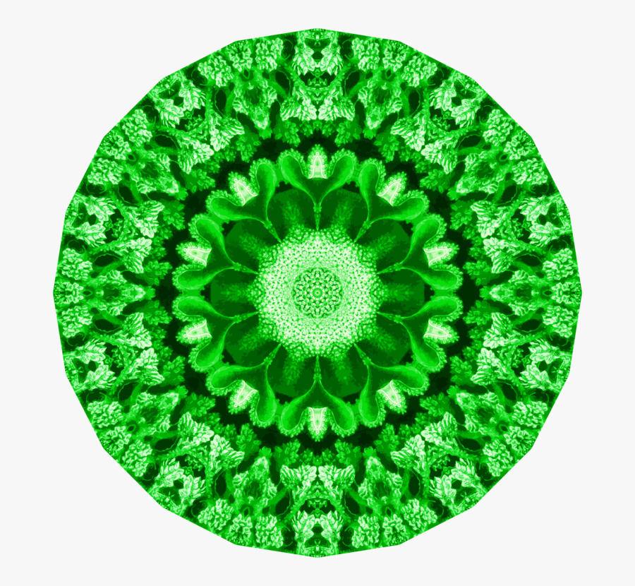 Circle,grass,green - County Of Cameron Brownsville Logo, Transparent Clipart