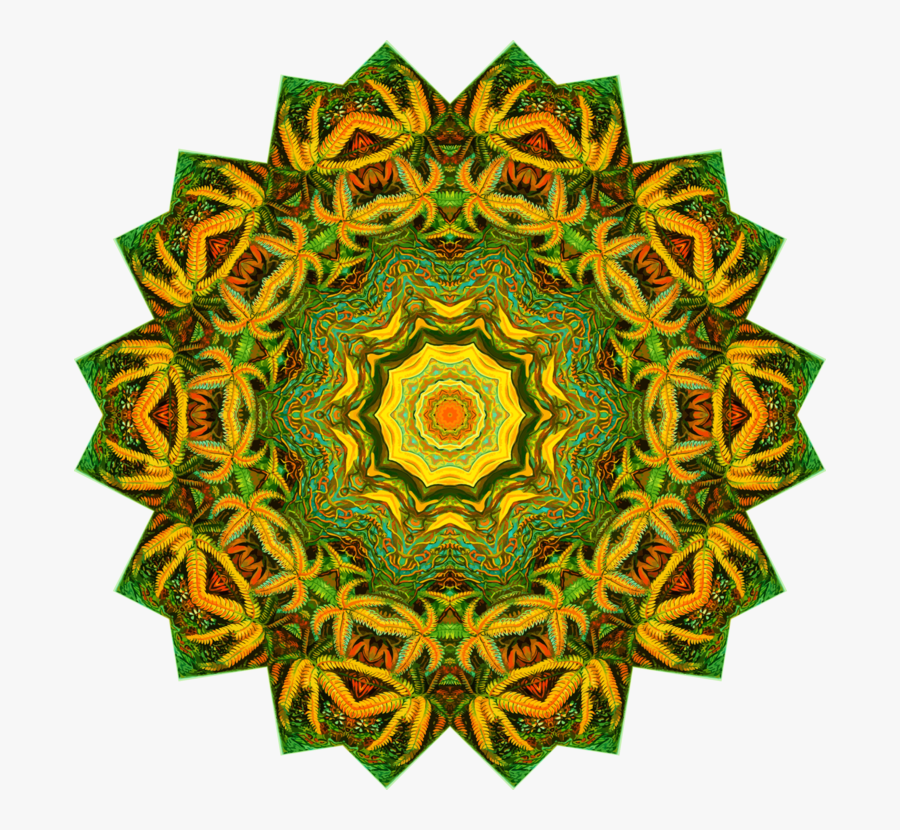 Circle, Transparent Clipart