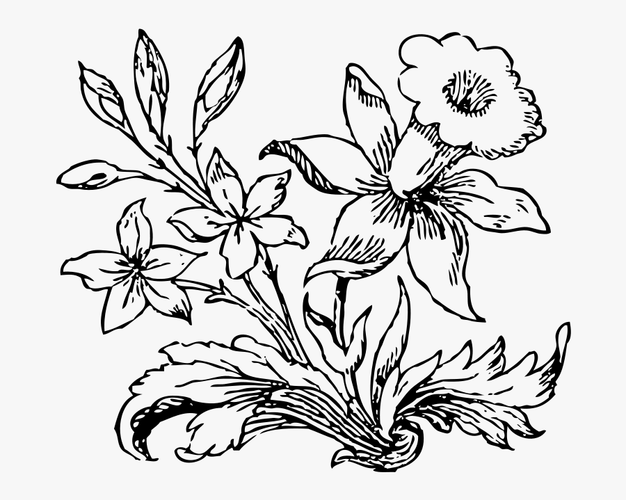 Little Flower - Little With Plant In Black And White, Transparent Clipart