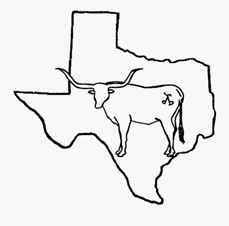 Texas Drawing At Getdrawings - Texas Is So Big Meme, Transparent Clipart