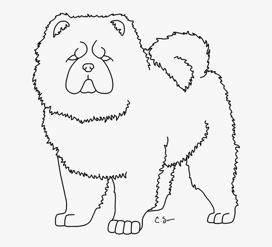 Chow Chow Clipart Drawing - Drawings Of Chow Chow, Transparent Clipart