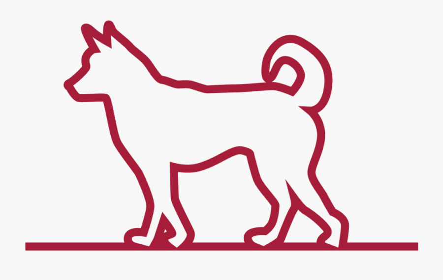 New Puppy Or Kitten, Transparent Clipart