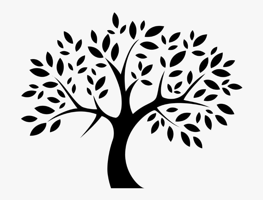 For Parents Of High School Juniors &amp - Tree Logo Clipart, Transparent Clipart