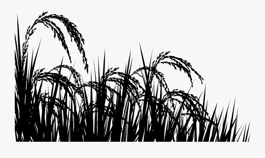 Rice Field Black And White Png, Transparent Clipart