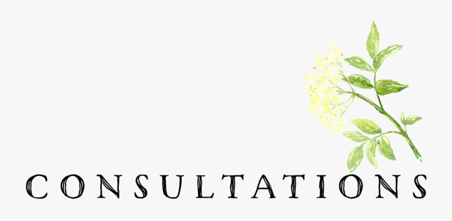 Elder Farm Consultations Appointments - Jasmine, Transparent Clipart