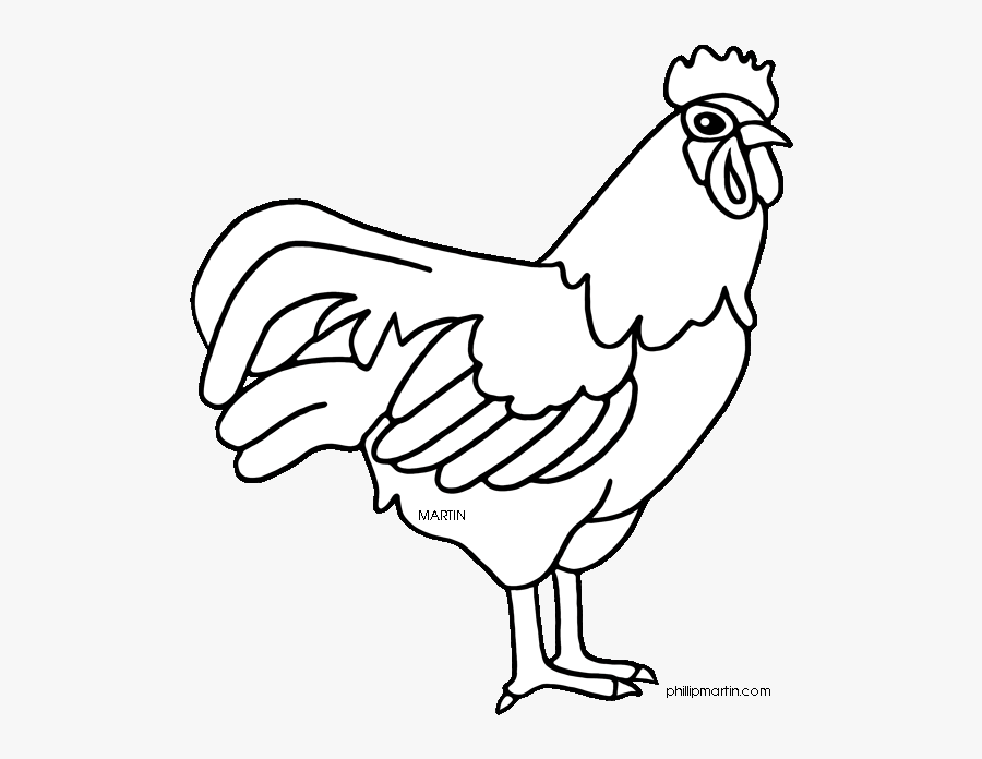 Bird Outline Picture Search Results Calendar 2015 Ellis - Coloring Delaware State Bird, Transparent Clipart