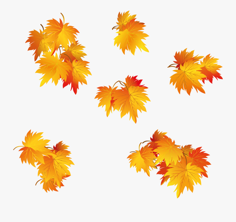 Fall Leaf Vector Png - Feuille Arbre Png, Transparent Clipart