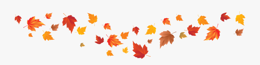 Autumn Leaf Color Autumn Leaf Color Red Maple Maple - Fall Leaves Transparent Background, Transparent Clipart