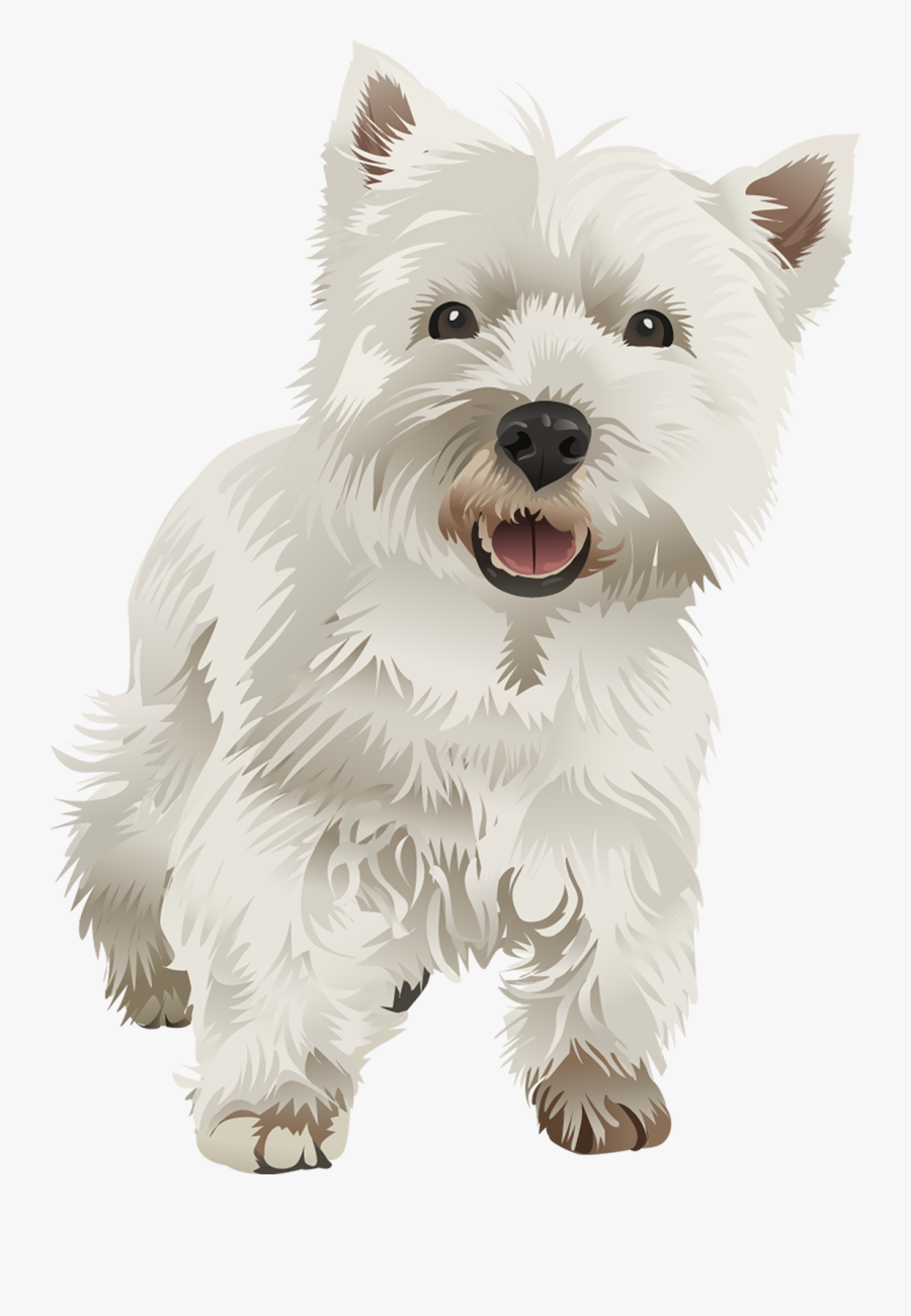 West Highland White Terrier Vector, Transparent Clipart