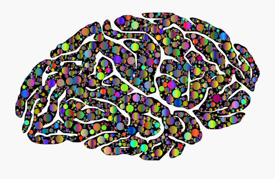 Organ,brain,circle - Brain Words, Transparent Clipart