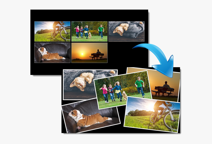 Collage, Transparent Clipart