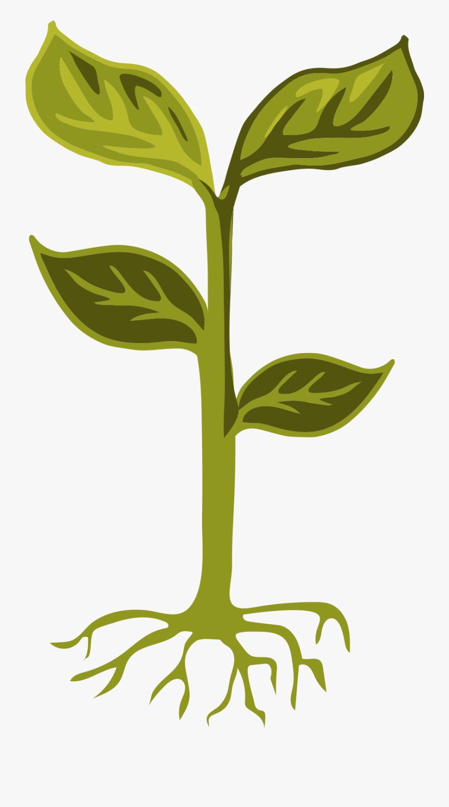 Clip Art, Transparent Clipart